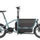 Riese & Müller Carrie - Greenaer - eBike Specialists